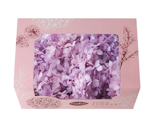 東花（あじさい・モス等） | プリザーブドフラワーKnext