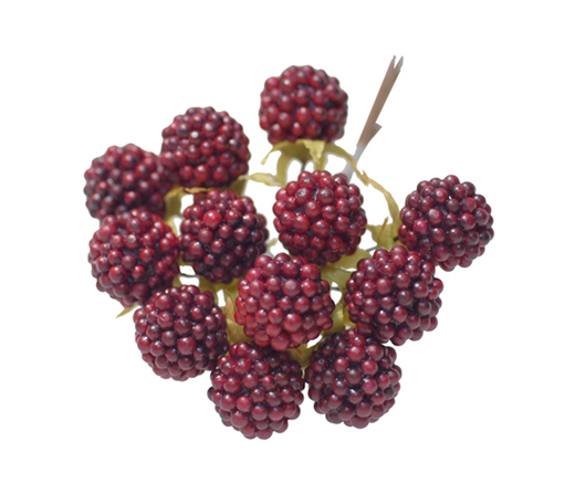 大地農園・ラズベリーピック・レッド(23400-300) | プリザーブド