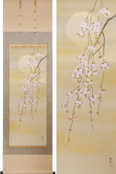 掛け軸 枝垂れ桜 （三宅和光） （掛軸小物なし） 送料無料 【掛軸