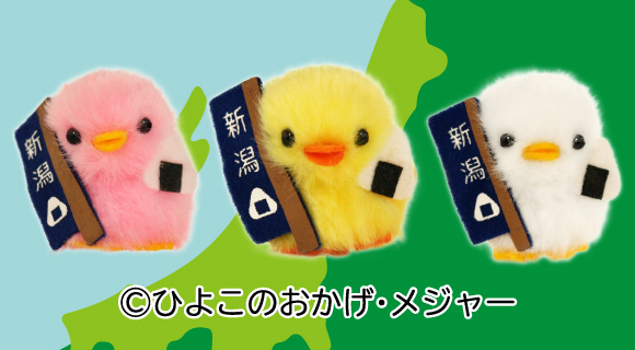 ぴより～なオフィシャルサイト｜株式会社ひよこのおかげ｜トップページ