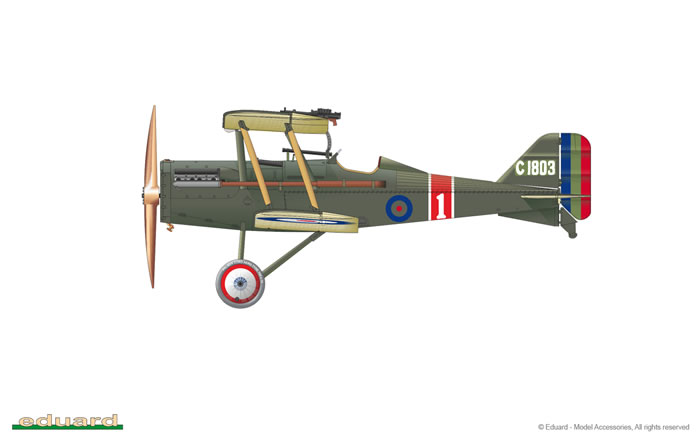 Eduard 1/48 SE5a Royal Class Dual Combo Review by David Wilson