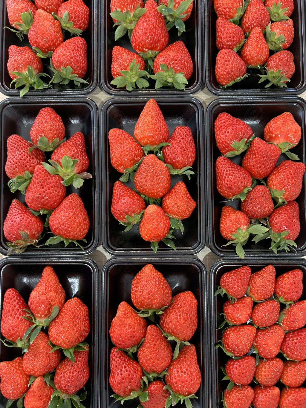 いちびこ農園、season4！！いよいよグランドOPEN！！！ | お知らせ