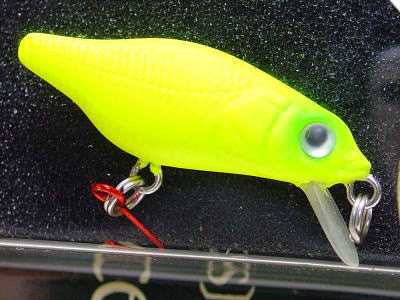 MEGABASS / X-30 MARUKIN (SINKING) | IchibanTackle.com