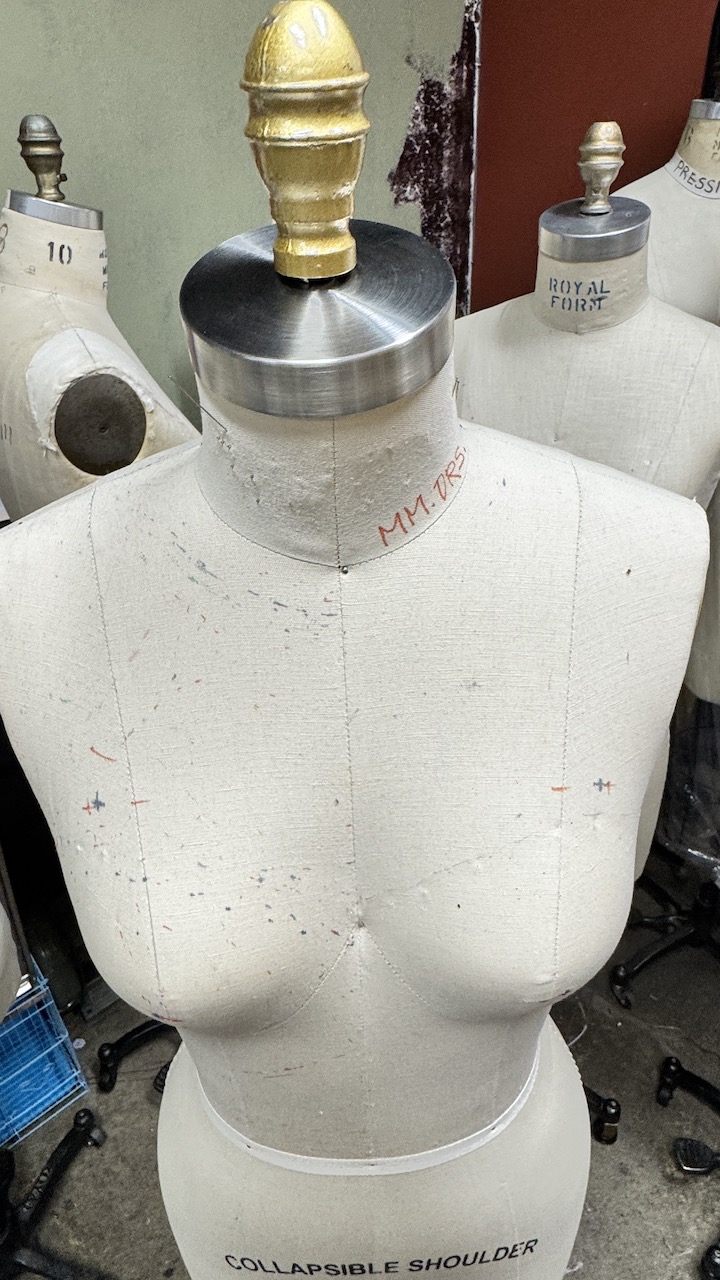 Dress Form Size 8 Missy