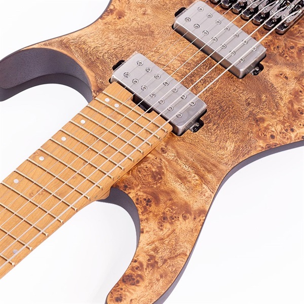 Ibanez QX527PB-ABS [SPOT MODEL] ｜イケベ楽器店オンラインストア