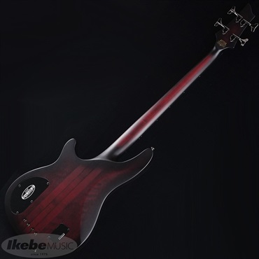 SCHECTER HELLRAISER EXTREME-4 [AD-HR-EX-BASS-4] (CRBS) ｜イケベ