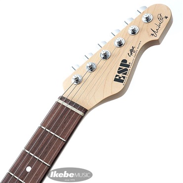 ESP SNAPPER Fujioka Custom (Vintage Burgundy Mist) [藤岡幹大 Model