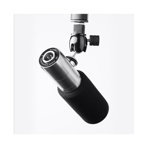 EARTHWORKS ETHOS Stainless Steel(ステンレススチール) ｜イケベ楽器