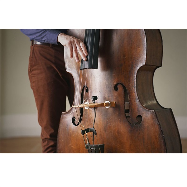 NEUMANN MCM 114 SET BASS(contrabass/double bass用クリップ