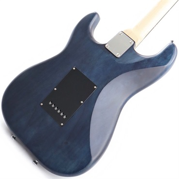 SCHECTER Progauge Series PS-S-ST-AL (Pacific Blue Tint/Rosewood