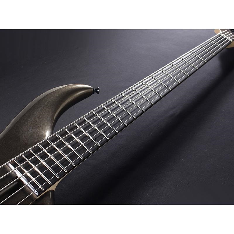 F-bass BN5-ZE Macassar Ebony Fingerboard， Hipshot A Style Bridge