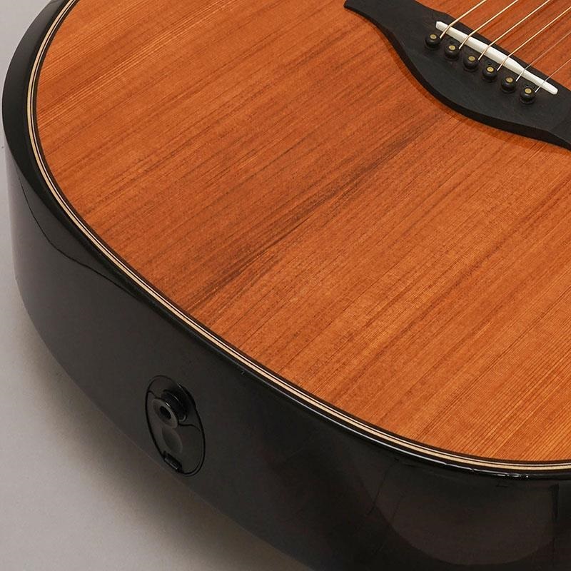 TAYLOR 【半期決算セール】【チョイキズ特価】50th Anniversary