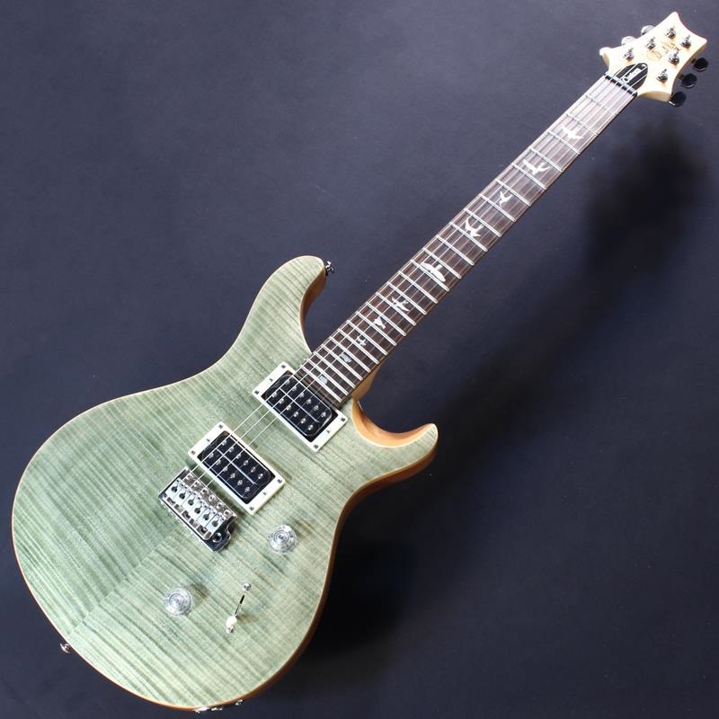 P.R.S. SE Custom 24 (Trampas Green) #CTI G01049【2024年生産品