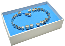 タイポドント咬合器&メタルティースセット ロッキー（JMオーソ）型