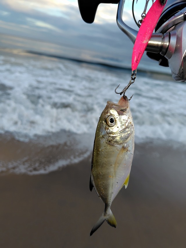 つり具の上州屋 - あなたのフィッシング＆アウトドアライフをサポート