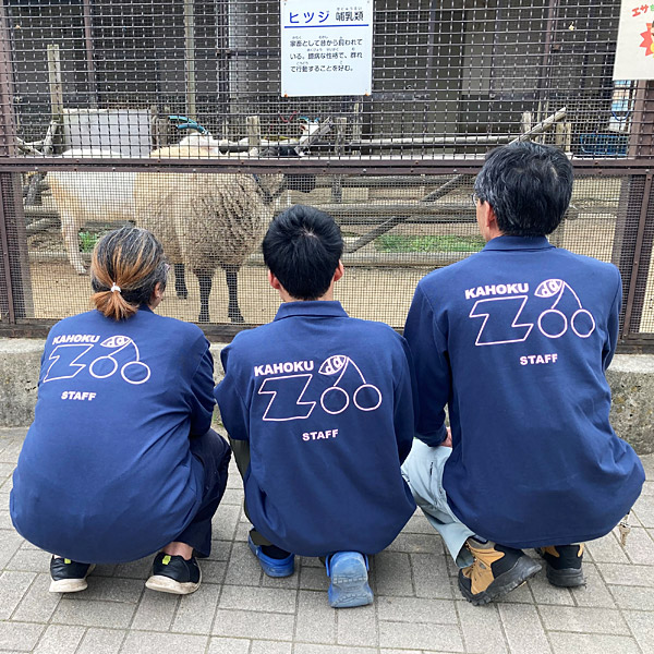 169-VLP】 5.8オンス T/C長袖ポロシャツ(胸ポケットあり) | オリジナル