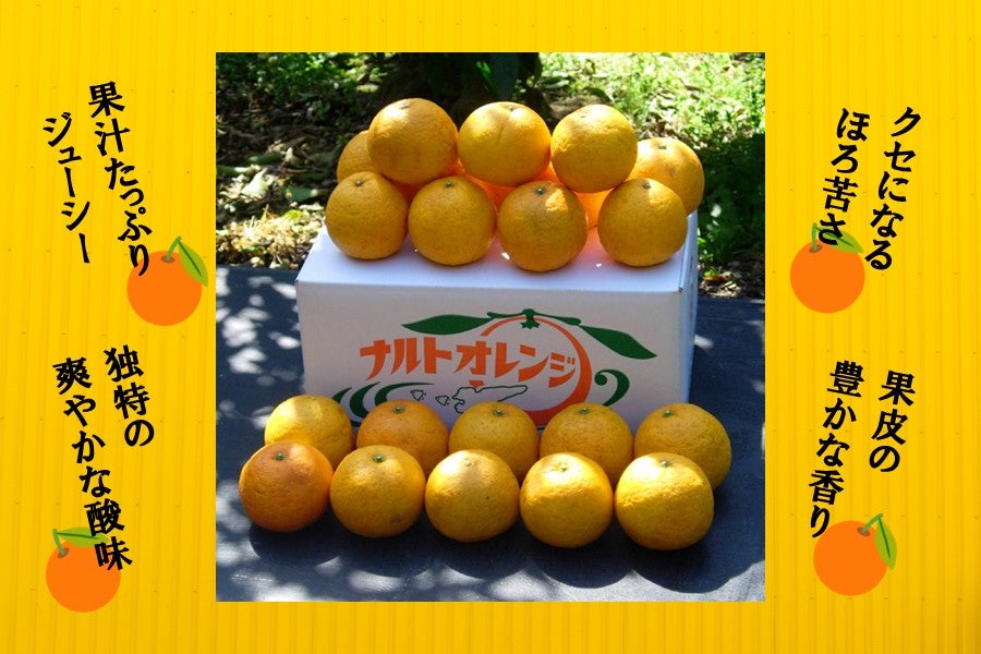 若宮さんちの淡路島なるとオレンジ（約10㎏）: あつめて、兵庫