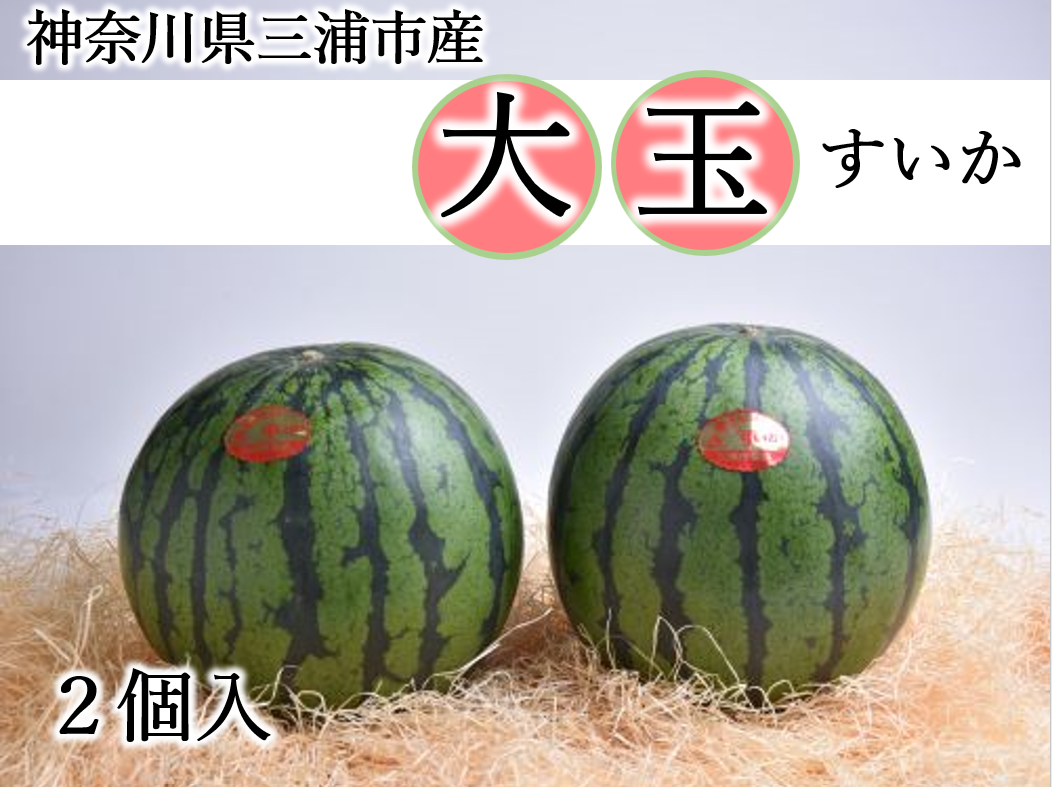 三浦大玉すいか（2個）: JA全農かながわ|【JAタウン】産地直送