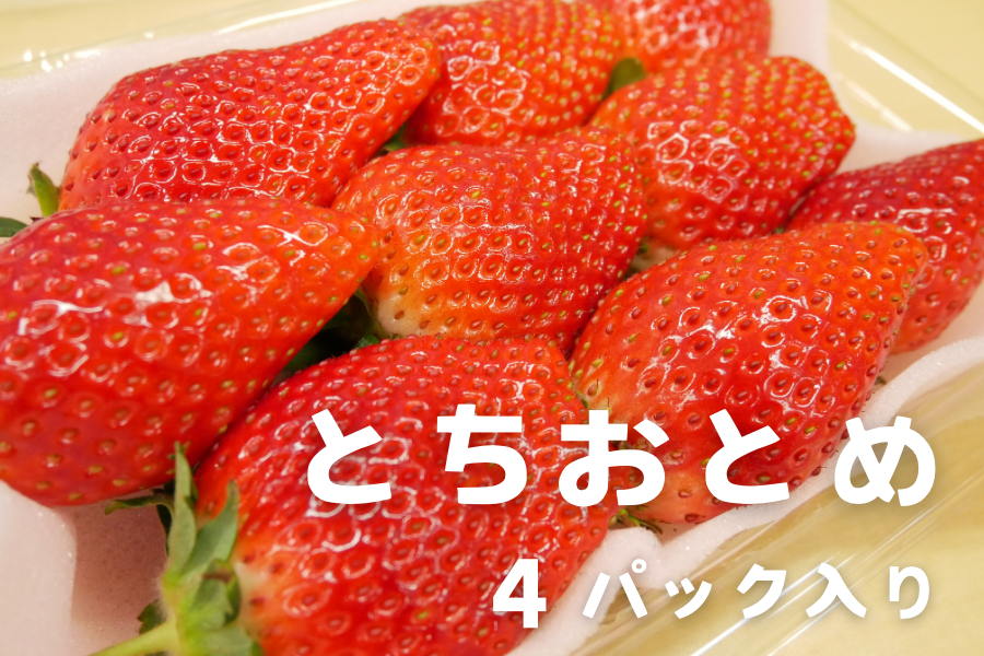 朝採り完熟いちご『とちおとめ』4パック入り 茨城県産: いいもの