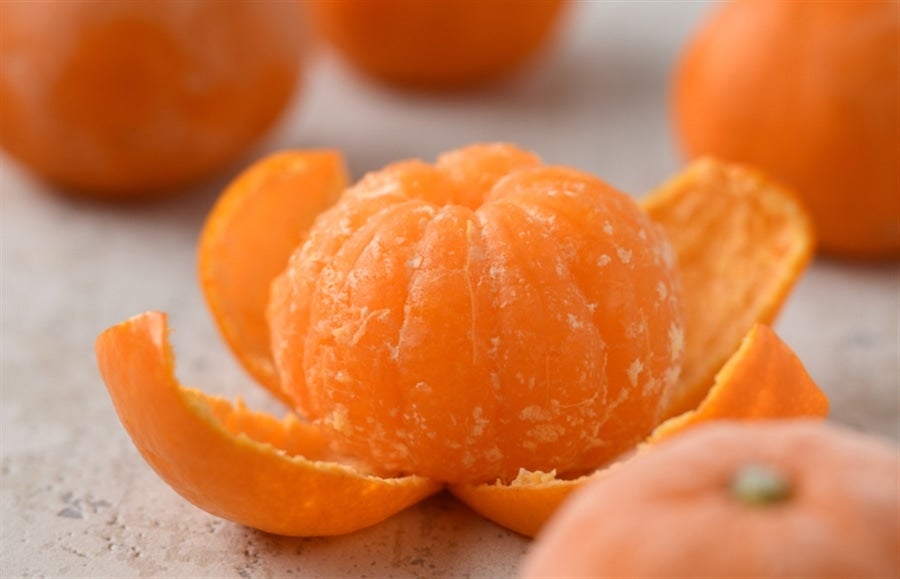 冷凍みかん（2Sサイズ16個入り）JAおちいまばり ☆クール冷凍