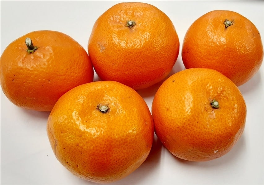 たまみ』（ご家庭用） 約2kg（良以上2S～3Lサイズ混合）愛媛県