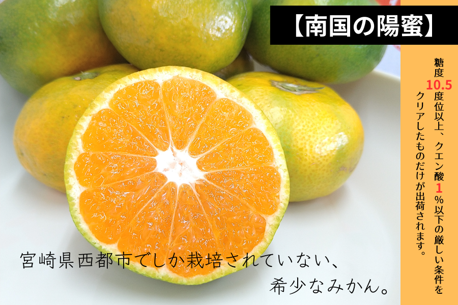 西都産 マルチ栽培みかん 【南国の陽蜜】 2.5kg箱: JAみやざき Tege