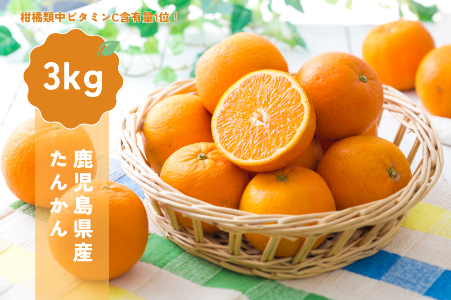 鹿児島県産たんかん3kg: JA鹿児島県経済連 鹿児島の味「ふるさと便