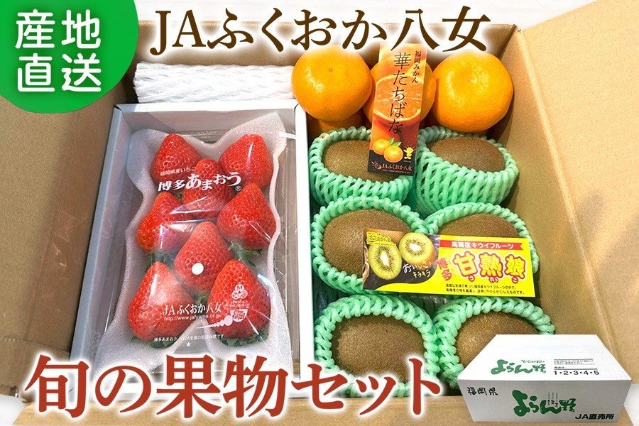 ◎JAふくおか八女 旬の果物セット: 博多うまかショップ|【JAタウン
