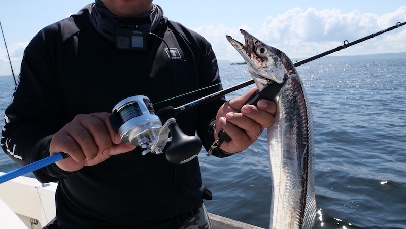 GSW - SALT WATER 海釣り｜JACKALL｜ジャッカル｜ルアー