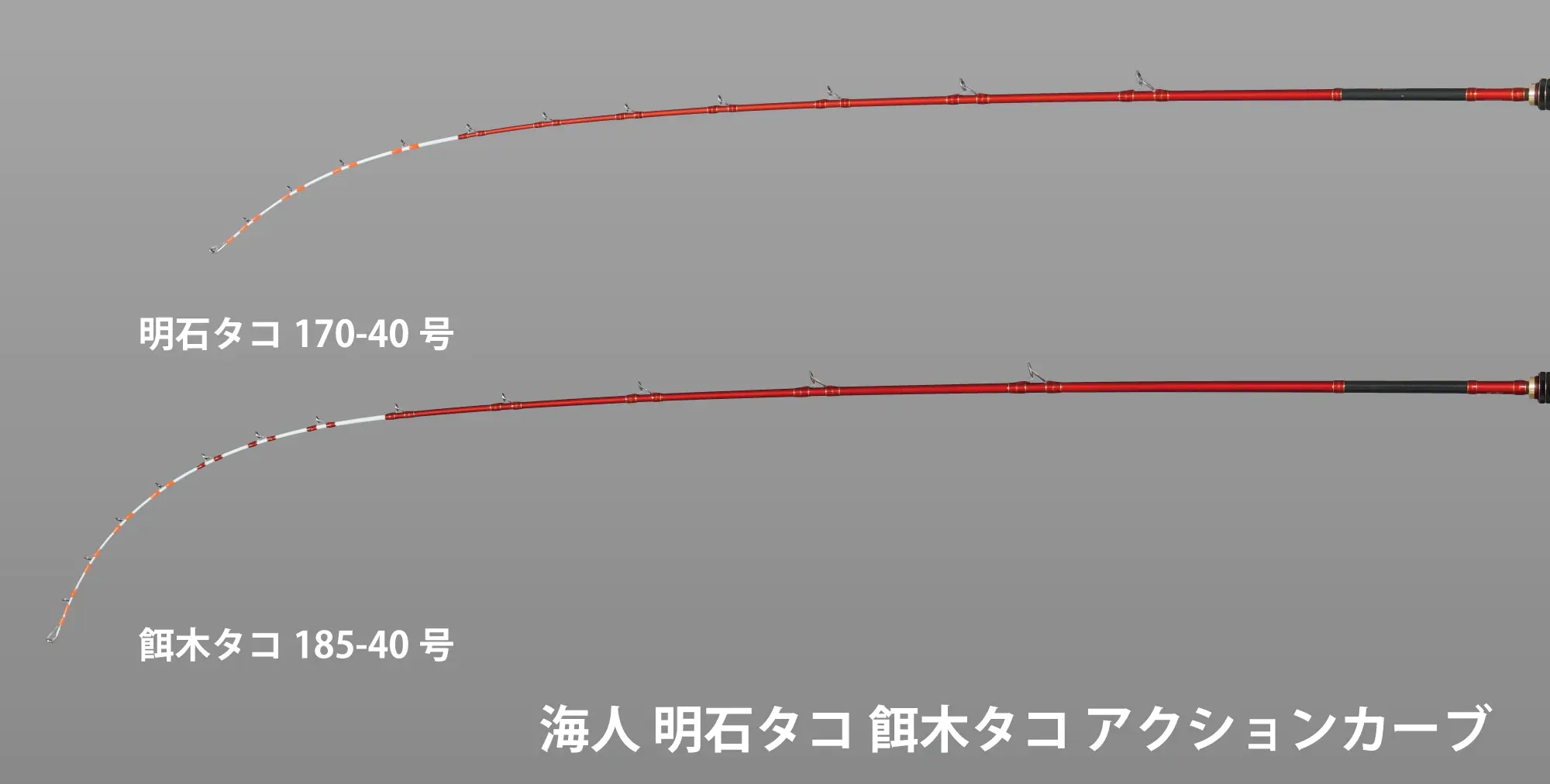 海人明石タコ170 - 17,000円 : 海釣り、船釣り専門店の沖三昧 ,釣具