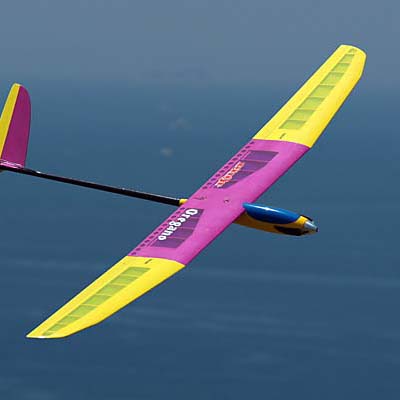 オレガノ2黄色 ベーシック | OK MODEL WEB