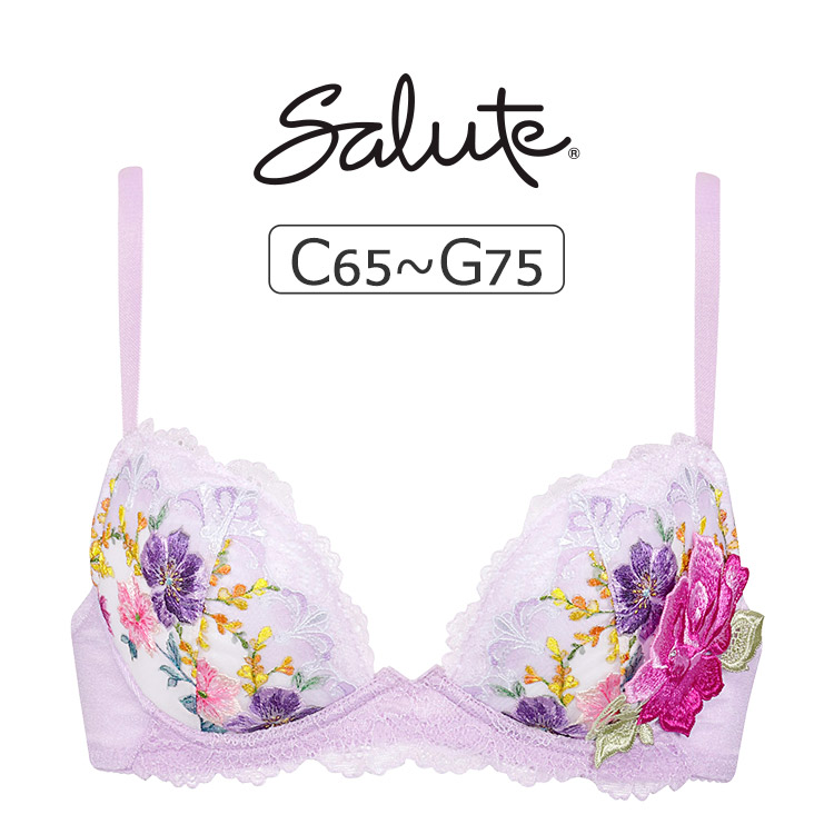 BTJ793｜ワコール サルート 93G フロントエックスプラスブラ