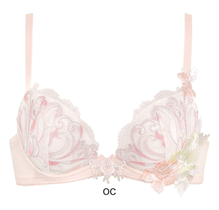 BTJ766｜ワコール サルート 66G フロントエックスプラスブラ