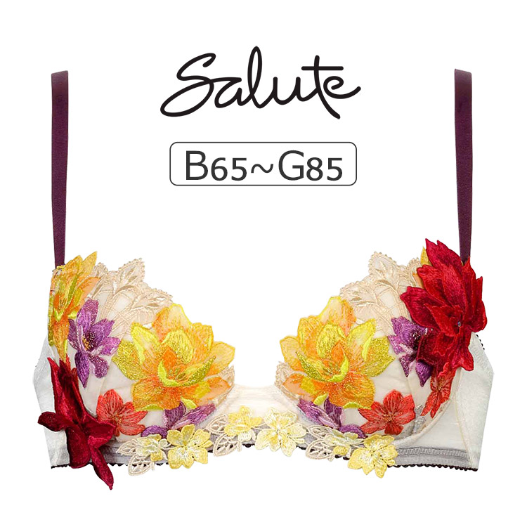 BTJ430｜ワコール サルート 30G ブラジャー単品 P-upタイプ BCDEFG