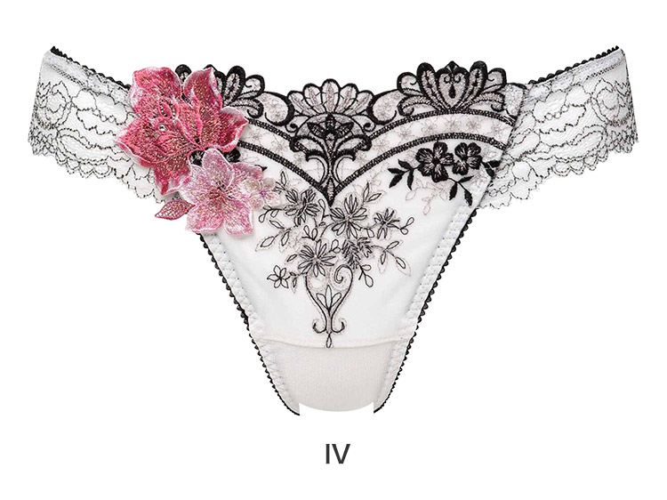 PTJ413｜ワコール サルート 13G Tバックショーツ M/L 下着