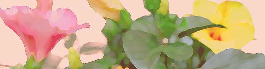 絹谷幸二 日月春々桜富士山 | 絵画など美術品の販売と買取 | 東京