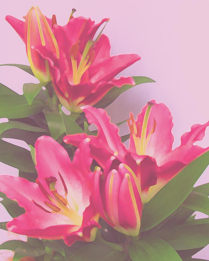 竹内敏彦・絵画・肉筆油絵・風景画 花咲く小川 F12