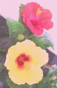 斉藤三郎 セビリアの娘達 | 絵画など美術品の販売と買取 | 東京・銀座