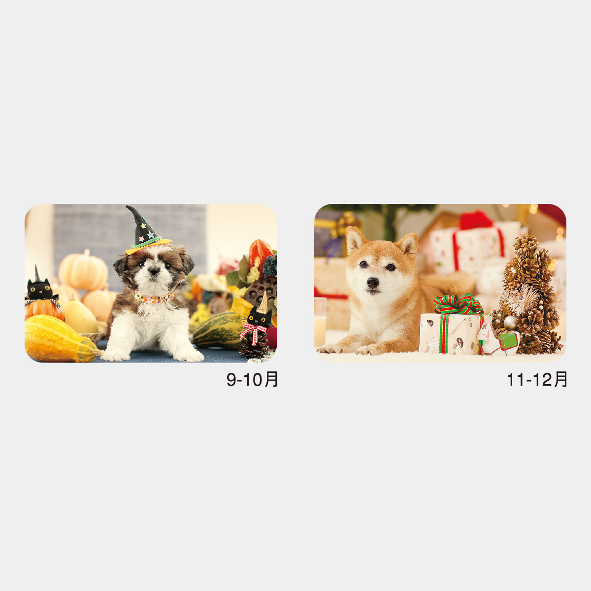 NK-434 ナチュラル ドッグ〔ミシン目入〕2026年版の名入れカレンダーを