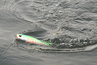 LONGIN FACTORY AIZU CaptainTokyo