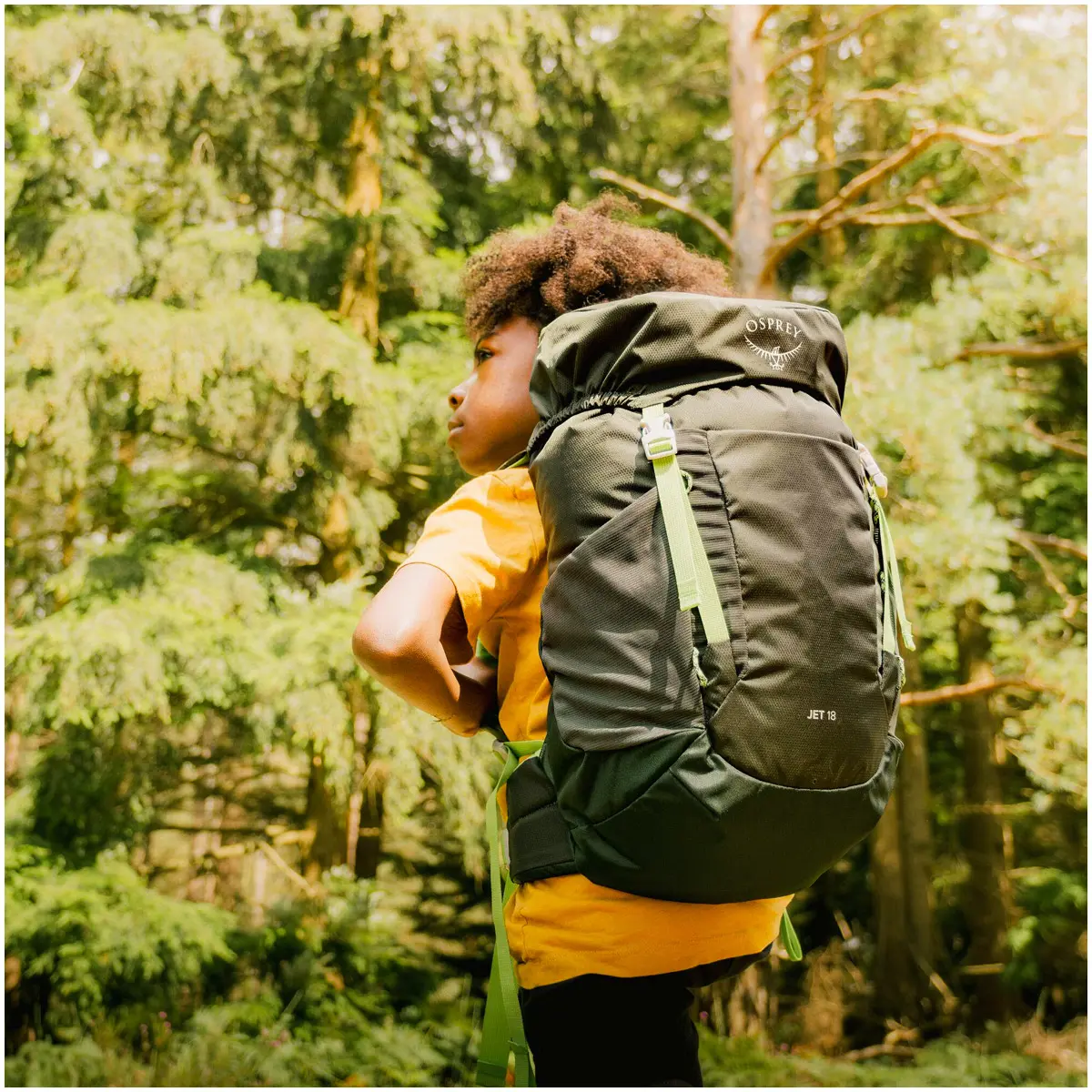 ジェット18(ブルースパイクモス): オスプレー | ロストアロー