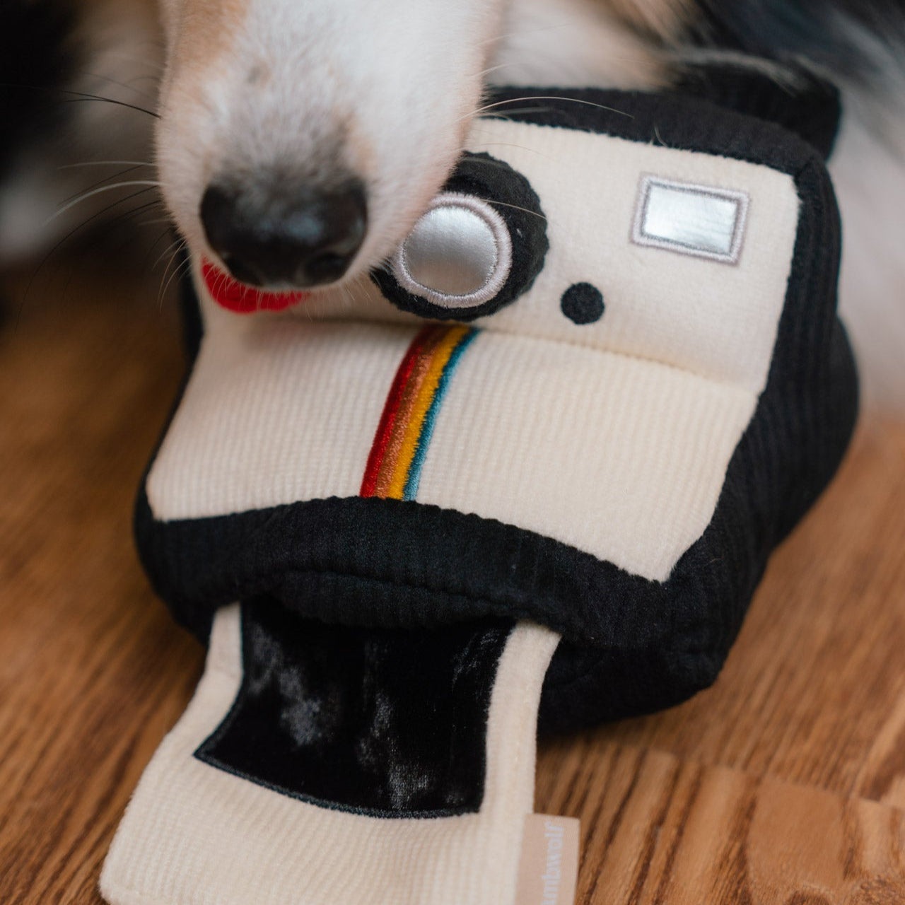 INSTANT CAMERA - Enrichment and Interactive Dog Toy | Puzzle Dog Toy