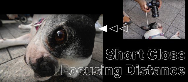 新商品】LAOWA 12-24mm F5.6 Zoom Shift CF発売のお知らせ | 新着情報