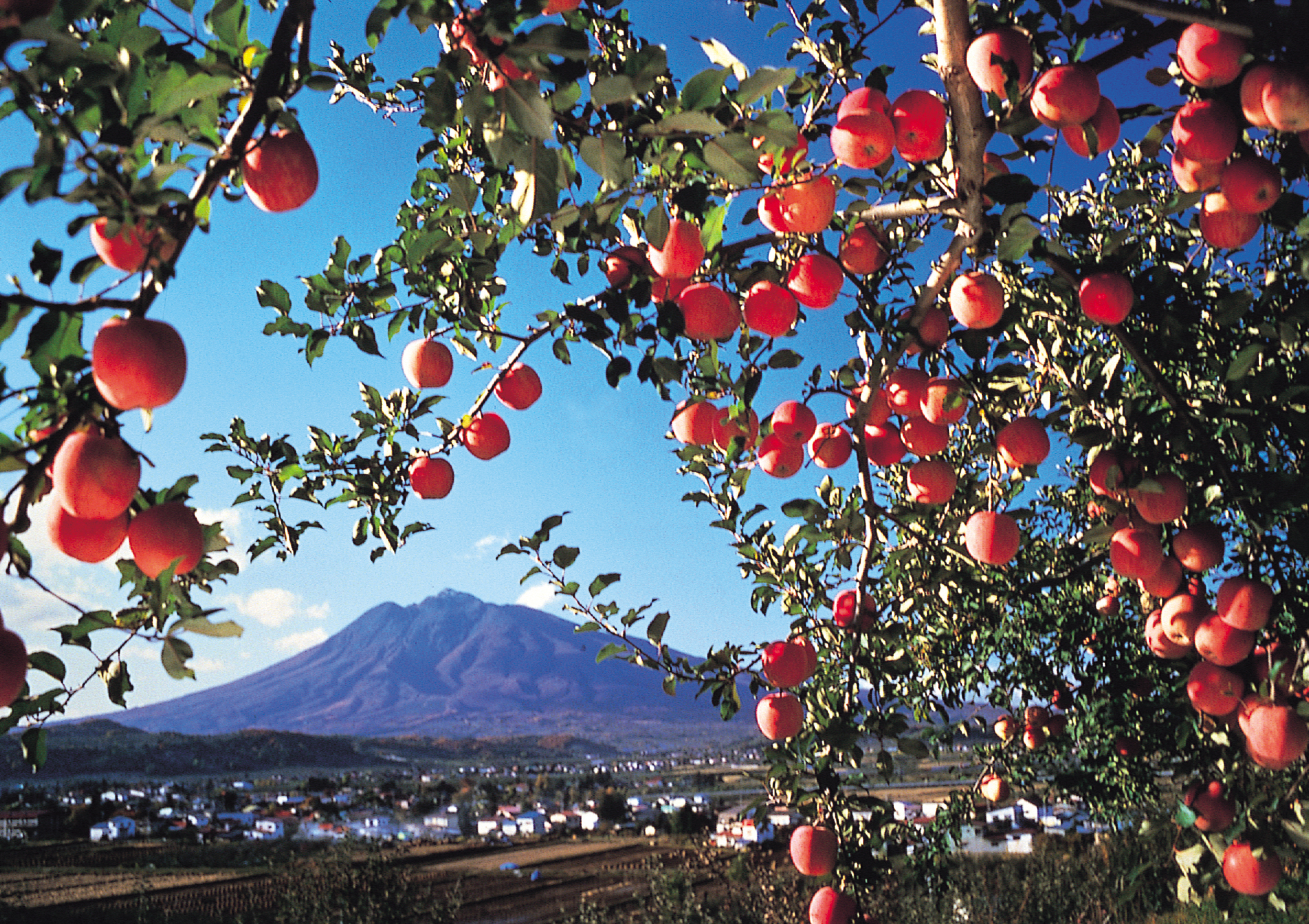 岩木山｜JR東日本東北総合サービス株式会社【LiViT】