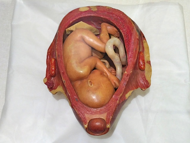 第2章 治療法をみる・みせる | 九州大学附属図書館