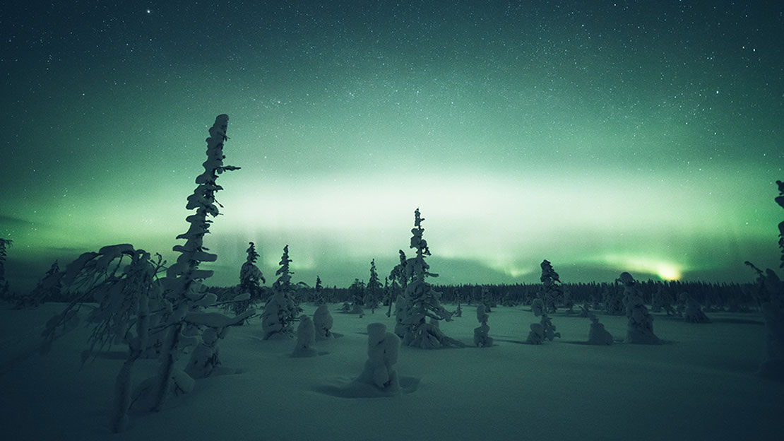 そのジンのボトルには北極圏の自然が詰め込まれている!? – モノ