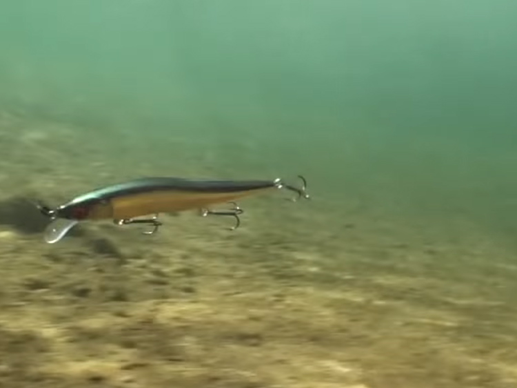 VISION ONETEN Jr. | Megabass-メガバス