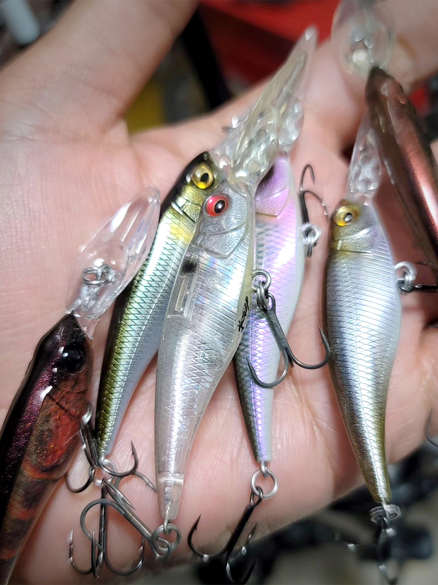 シャッドはトーナメントで最も出番の多いルアーの一つ | Megabass-メガバス