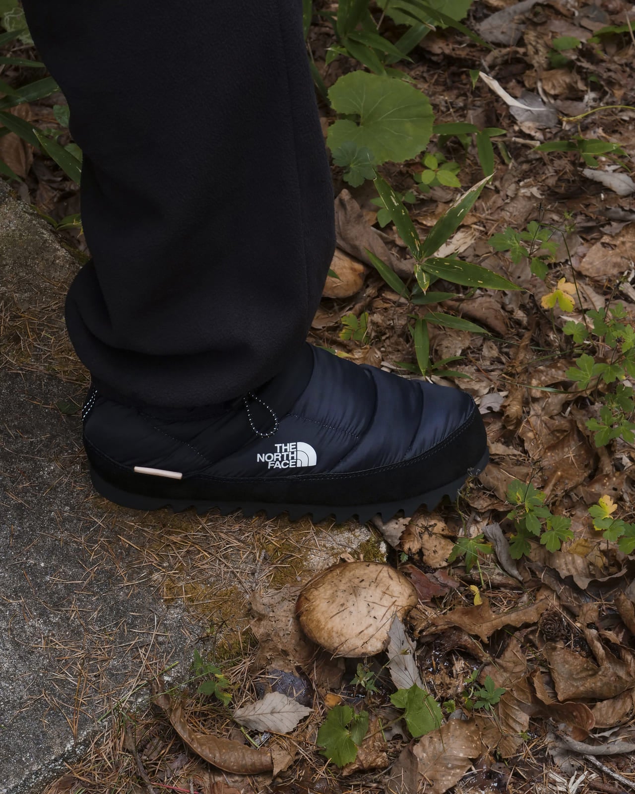 今回がラストコラボ】「ザ・ノース・フェイス」×「エンダースキーマ