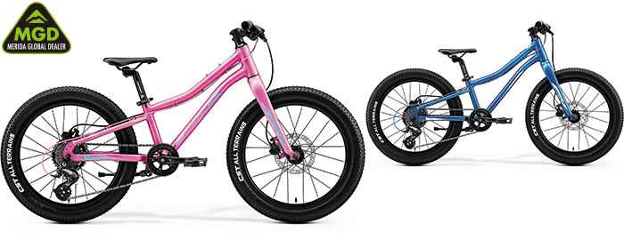 メリダ -MERIDA- | キッズ